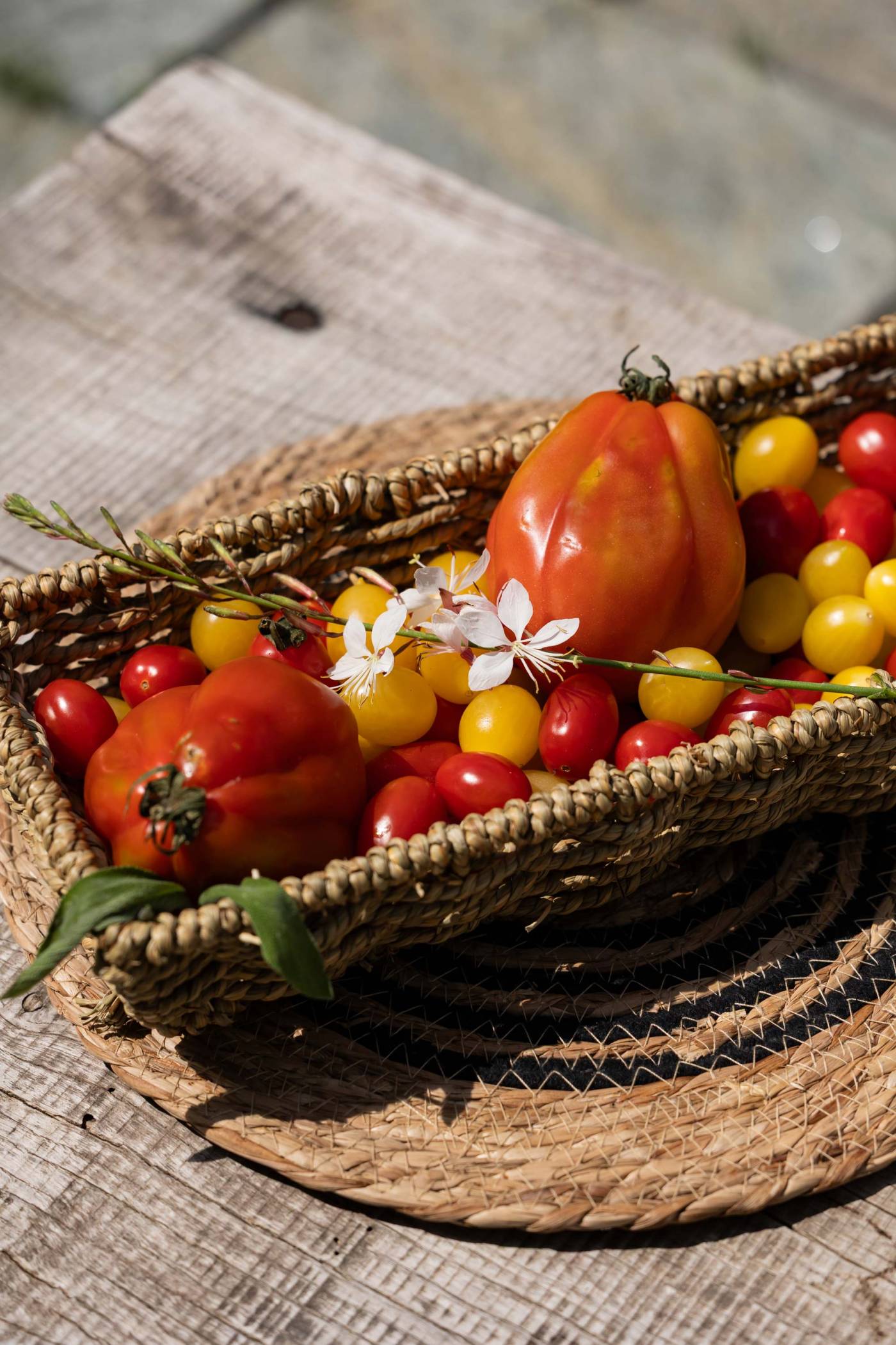 villa-clementina-cucina-bio-km0-1