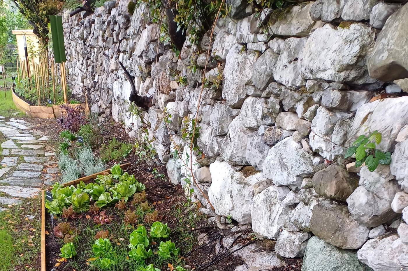 villa-clementina-hotel-boutique-lago-como-muri-a-secco-terrazzamenti-3