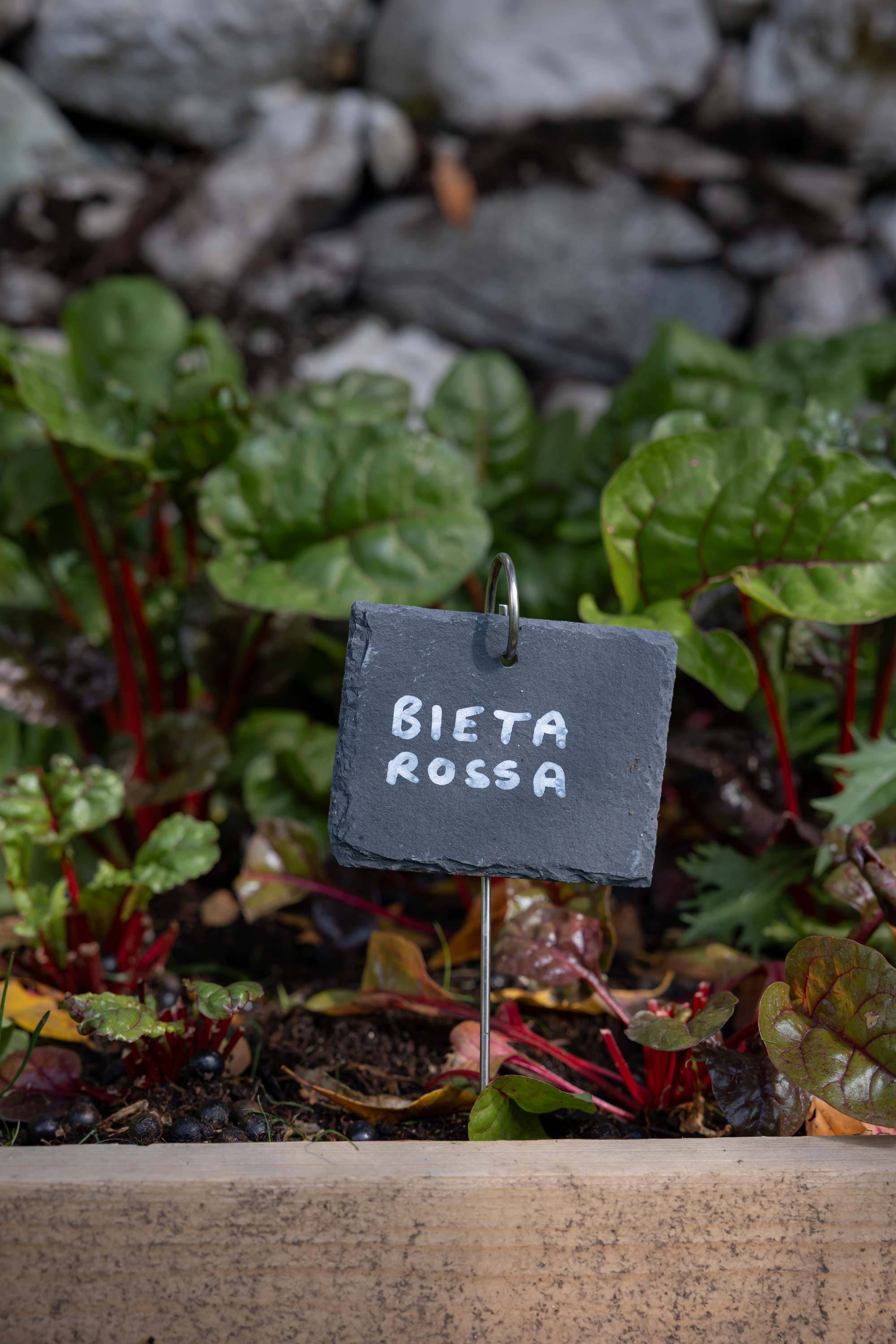 villa-clementina-cucina-bio-km0-bieta-rossa