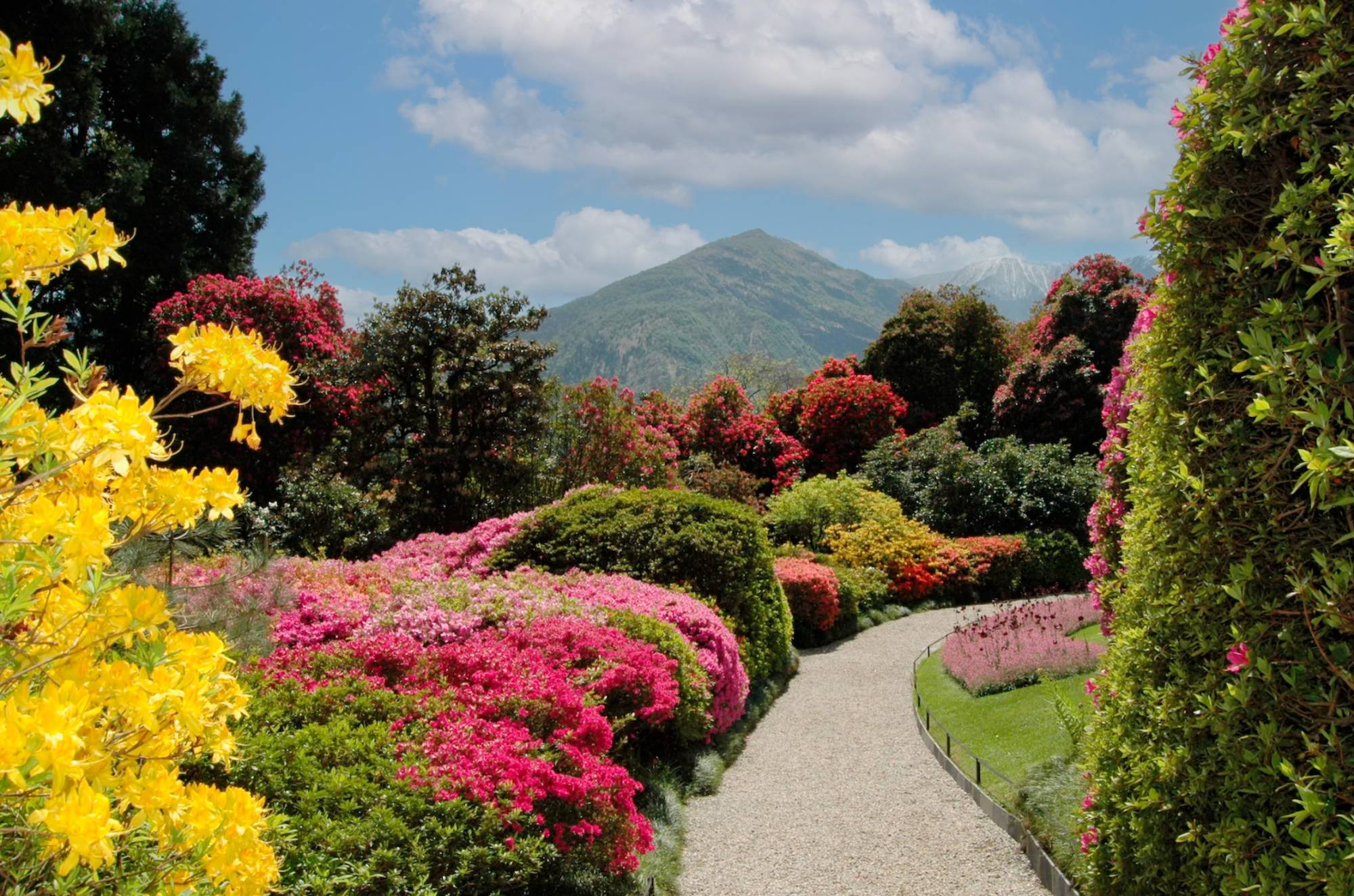 Villa-Clementina-boutique-hotel-lake-como-relax-experiences-history-villa-carlotta-garden-flower