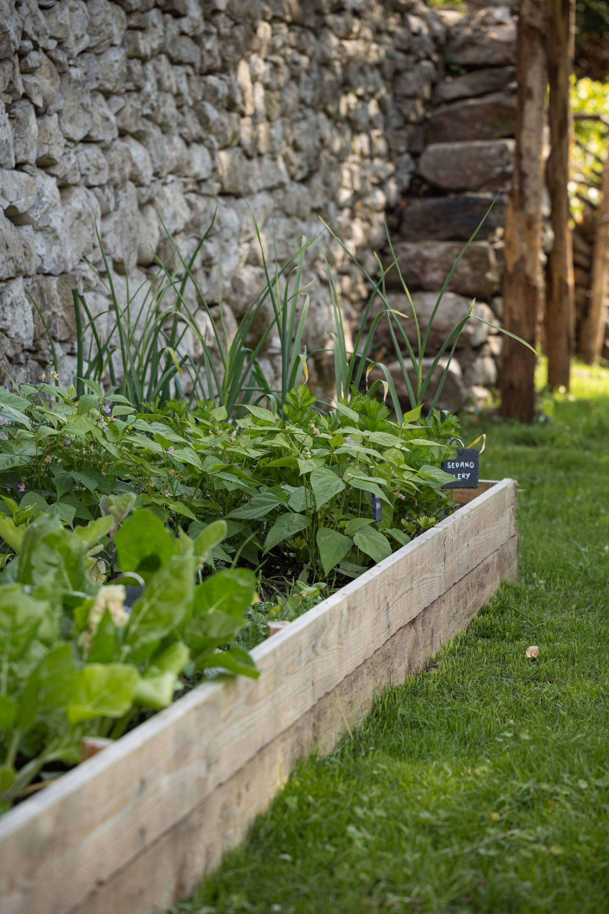 villa-clementina-cucina-bio-km0-4