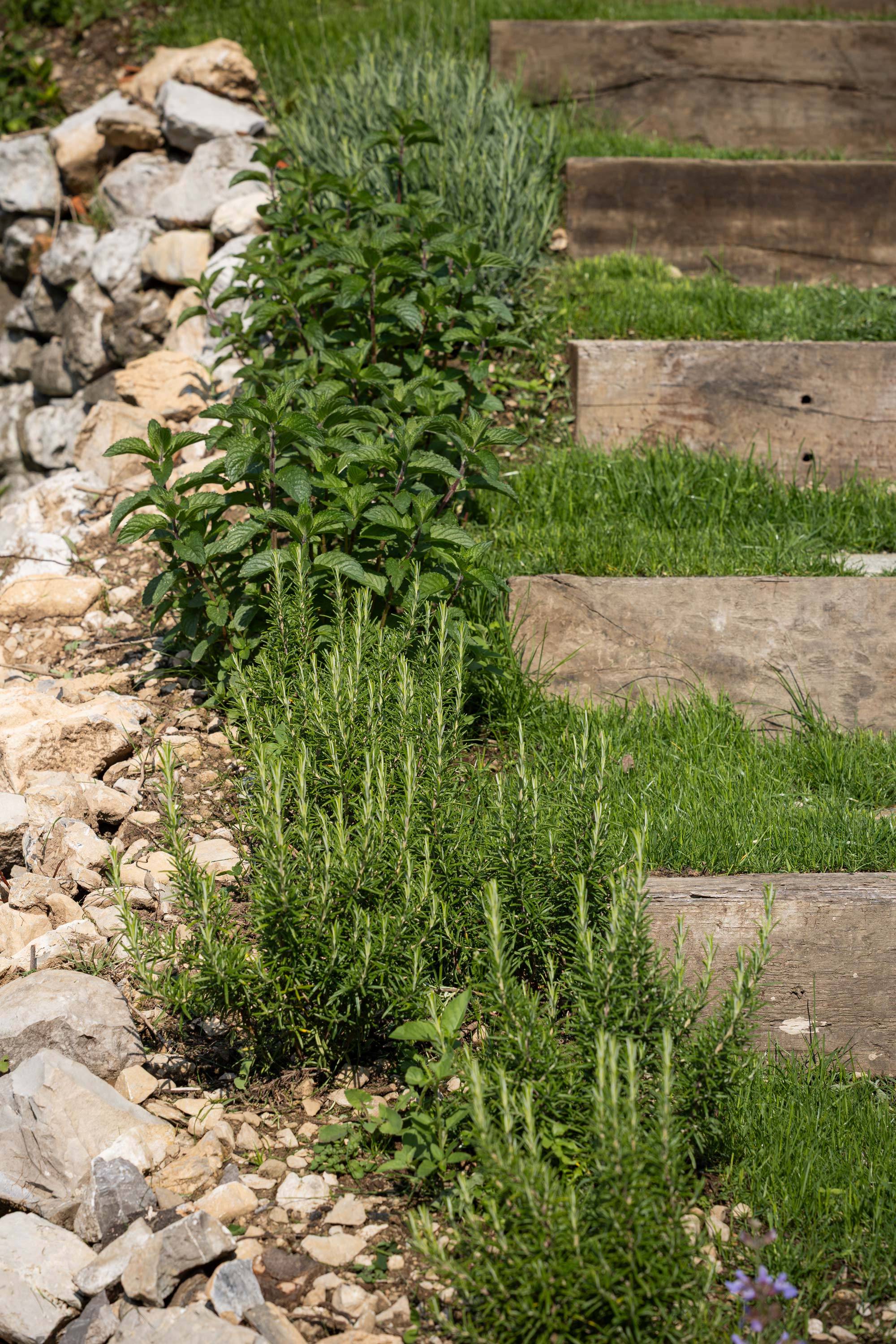 villa-clementina-cucina-bio-km0-5